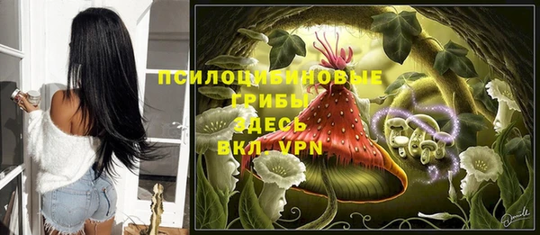 крисы Бугульма