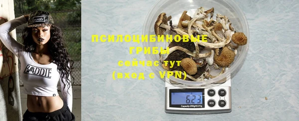 бутират Бородино