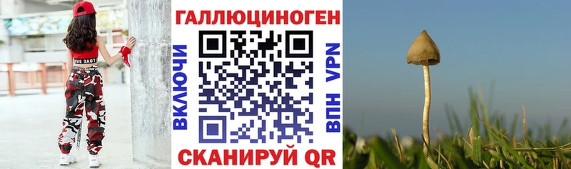 где купить наркоту  Буинск  Галлюциногенные грибы прущие грибы 